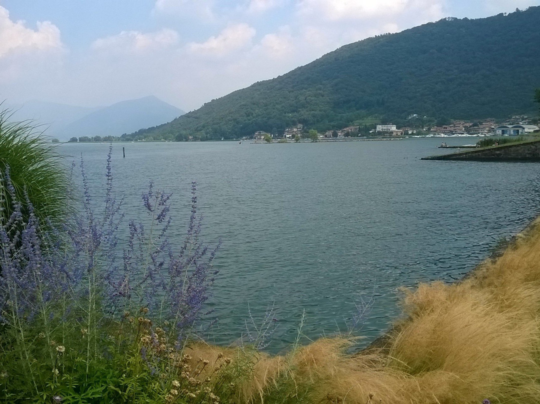 Parco Delle Erbe Danzanti景点图片