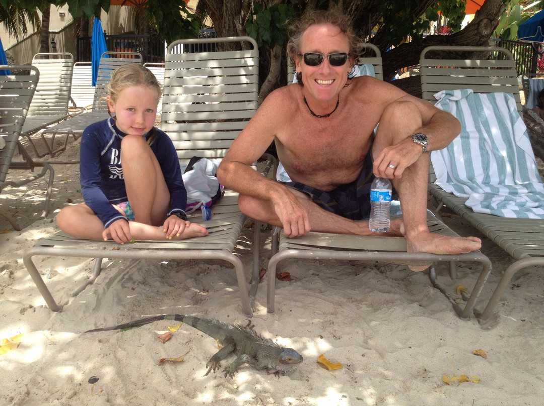 Morningstar Beach-South Coast必去景点