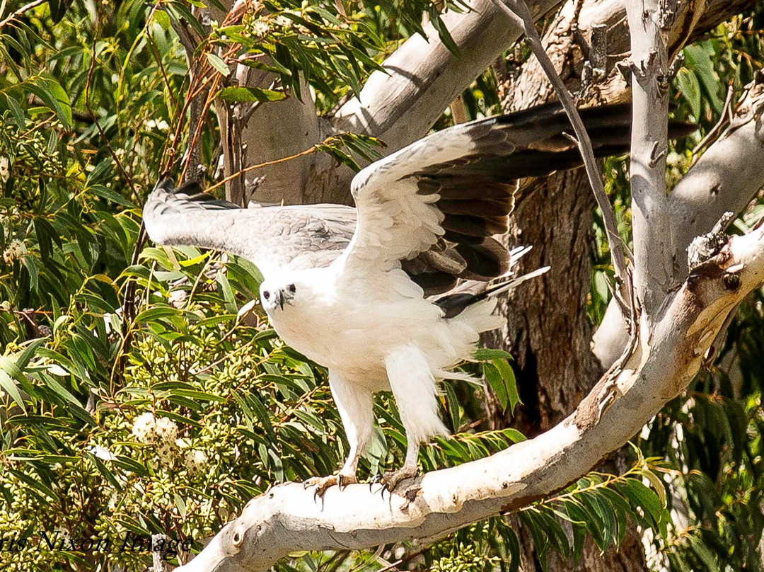 Camden Haven Cruises-Laurieton必去景点