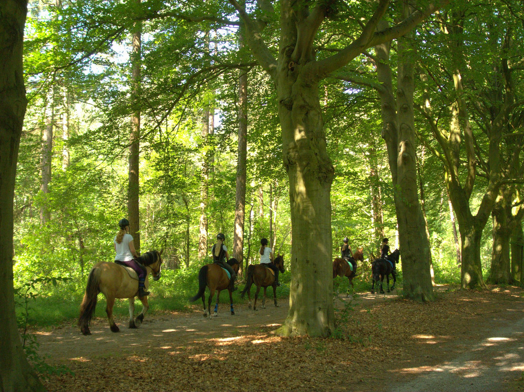 Horse Central Holland-De Bult必去景点