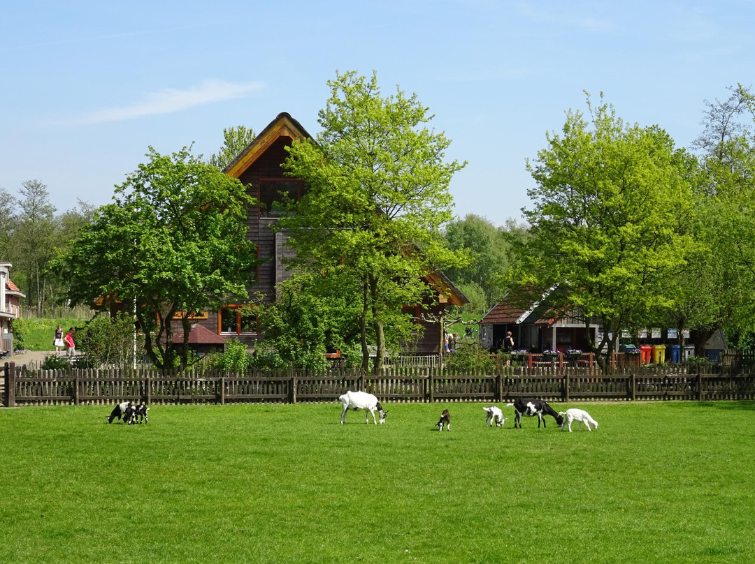 Speelboerderij Elsenhove景点图片
