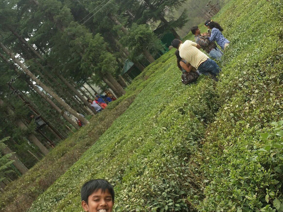 Ghorakhal Tea Factory景点图片