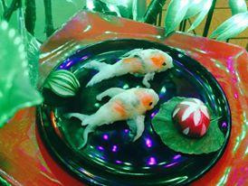 Ikura Sushi Bar