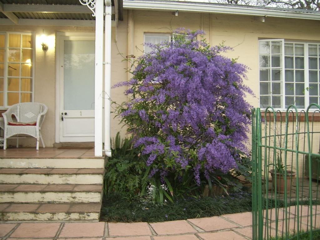 Nutmeg Guest House主图