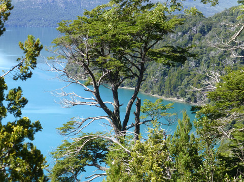 Lago Mascardi Viewpoint-圣卡洛斯-德巴里洛切必去景点