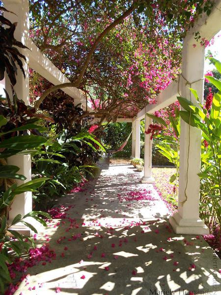 Posada Puerto Escondido主图