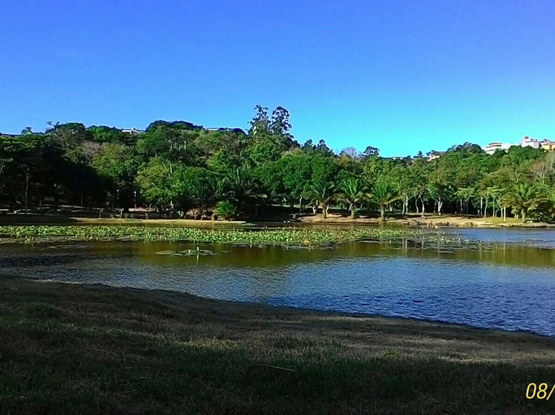 Horto da Serra Botanical Garden景点图片