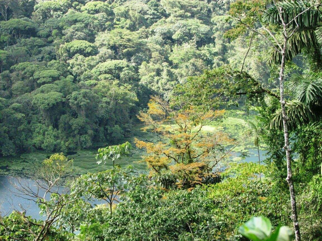 Refugio de Vida Silvestre Bosque Alegre景点图片