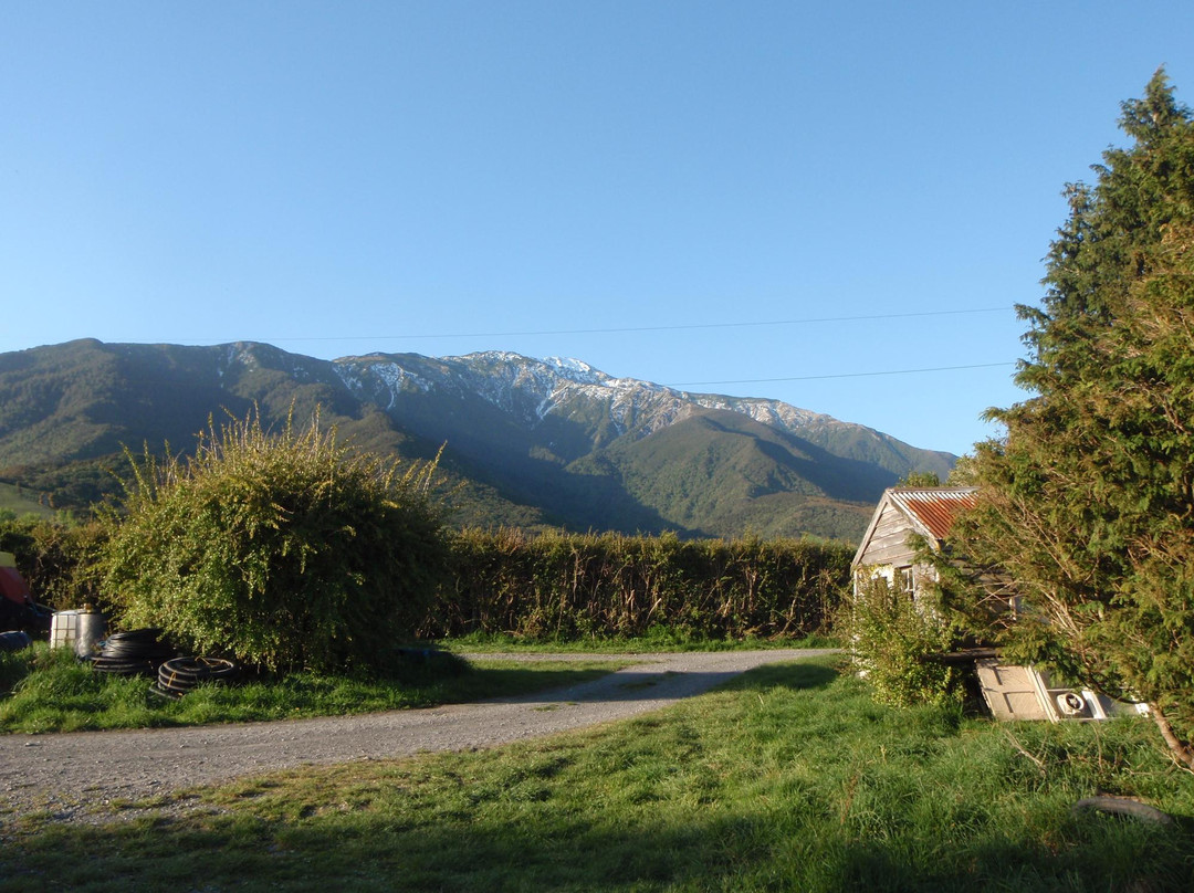 Fyffe View Ranch Adventure Park景点图片