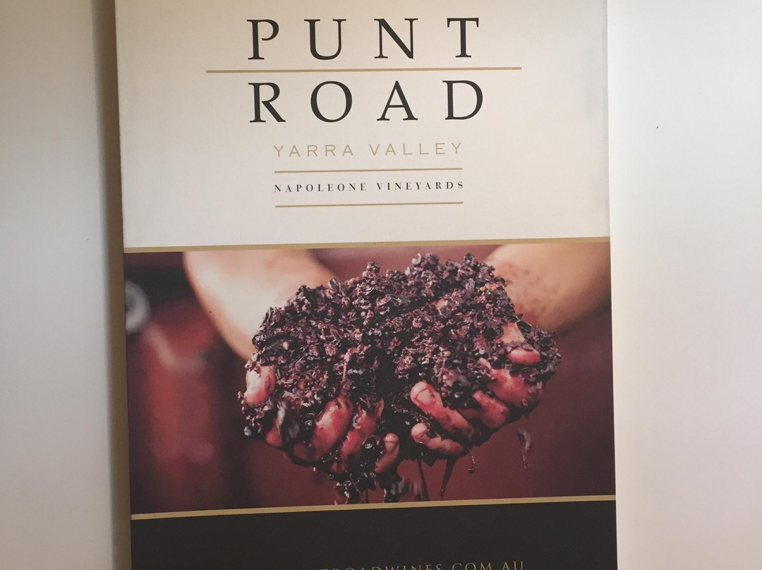 Punt Road Wines-科尔德斯特里姆必去景点
