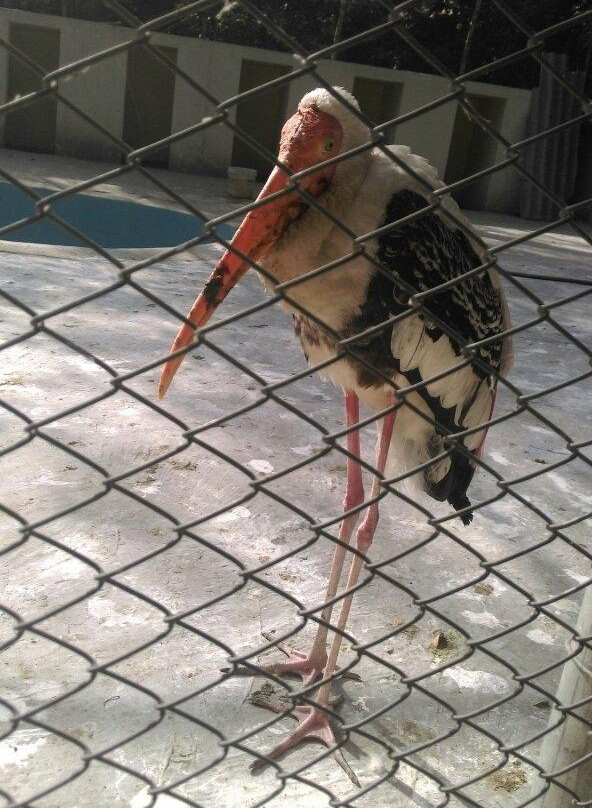 Bir Talab Zoo-Bathinda必去景点