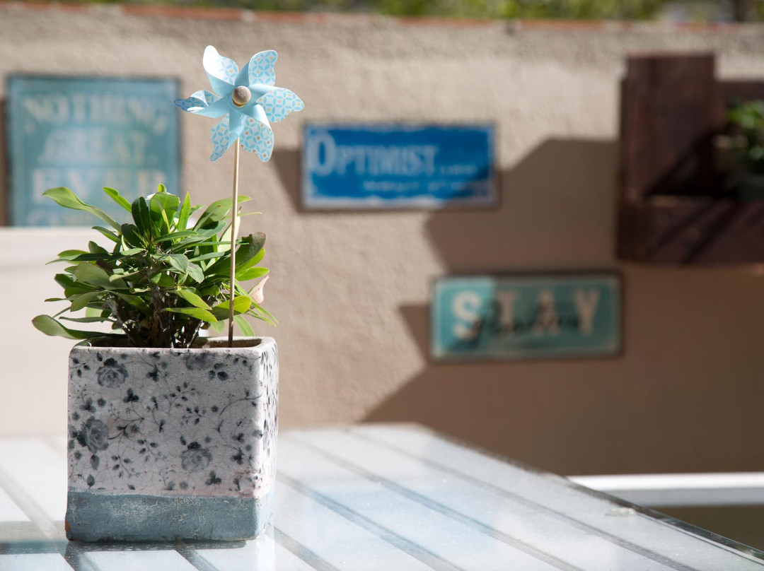 Residencia Anglus主图