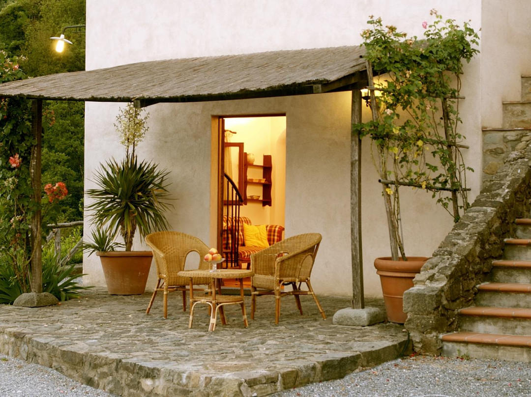 Fattoria di Pietrabuona