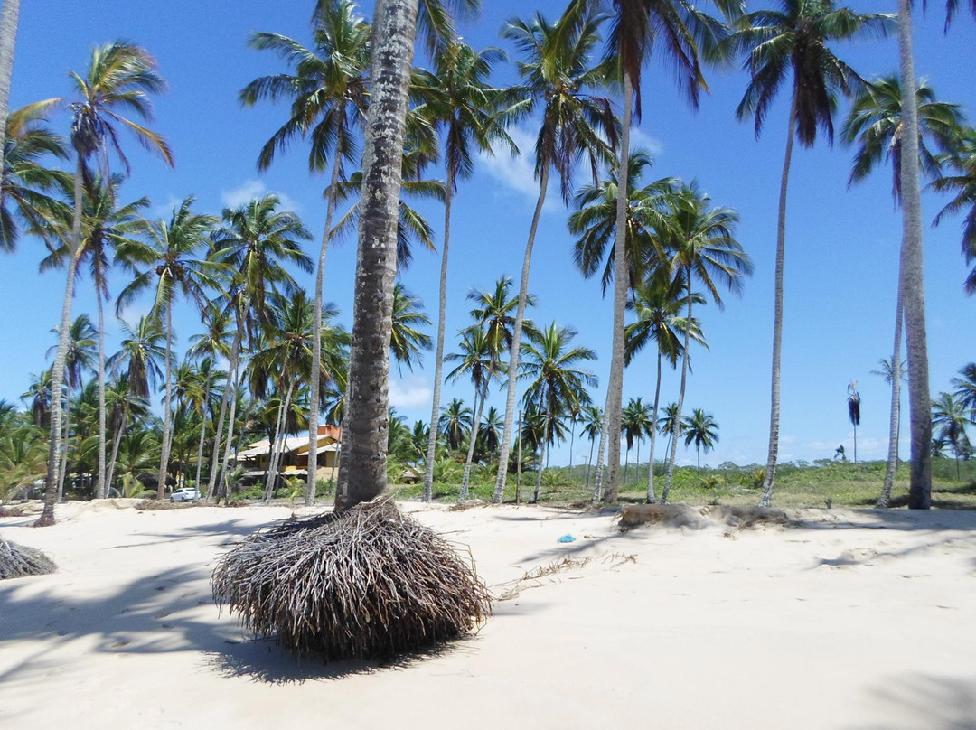 Coqueiral Beach-Prado必去景点