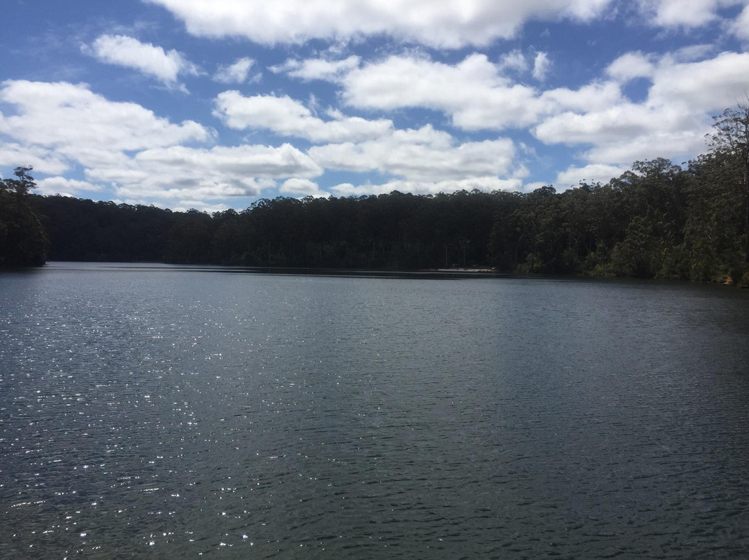 Pemberton Mountain Bike Park-彭伯顿必去景点