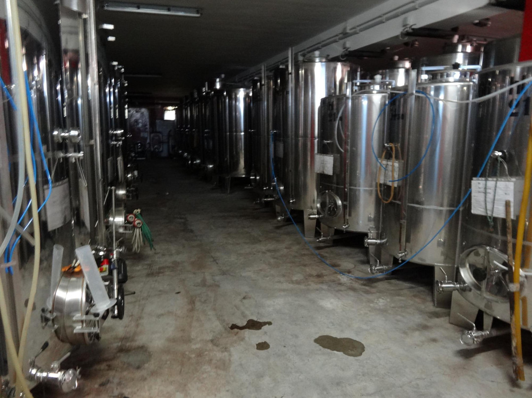 Azienda Agricola Zorutti景点图片