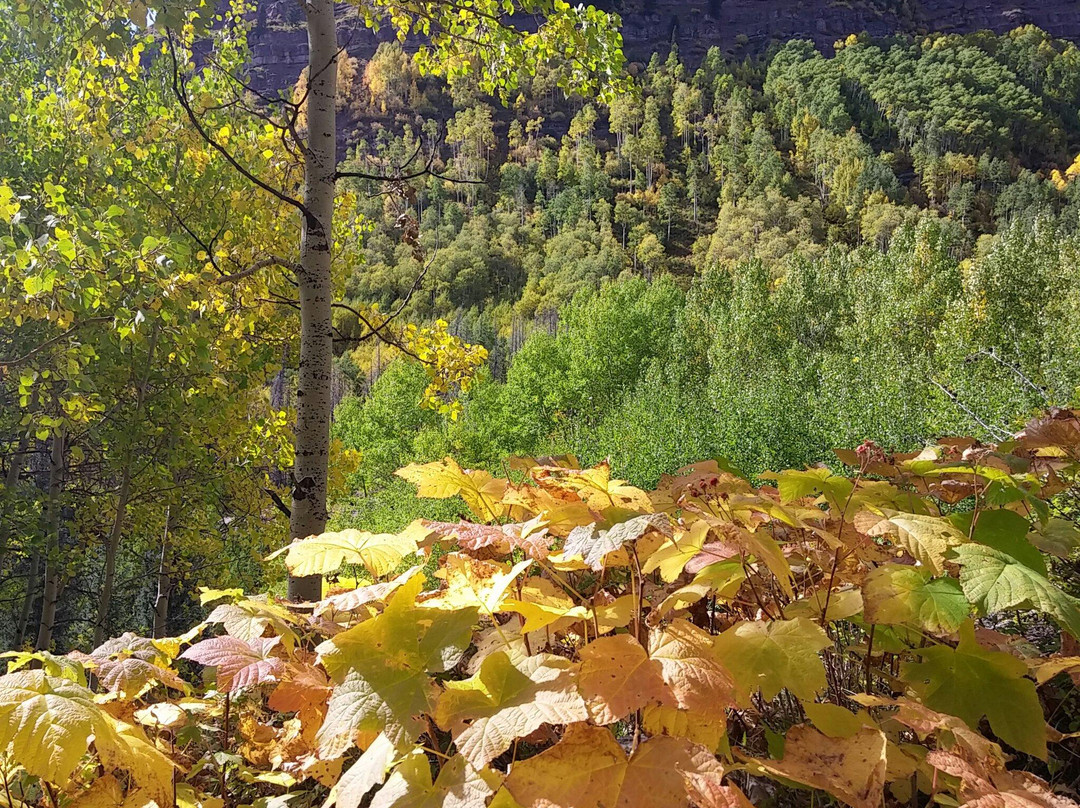 Booth Falls-韦尔必去景点