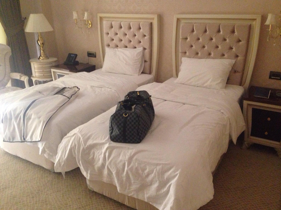Ayan Palace Hotel主图
