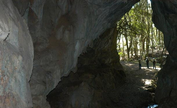 Parque Estadual de Campinhos-Tunas do Parana必去景点