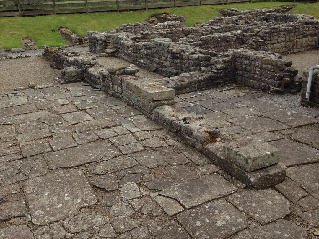 Binchester Roman Fort景点图片