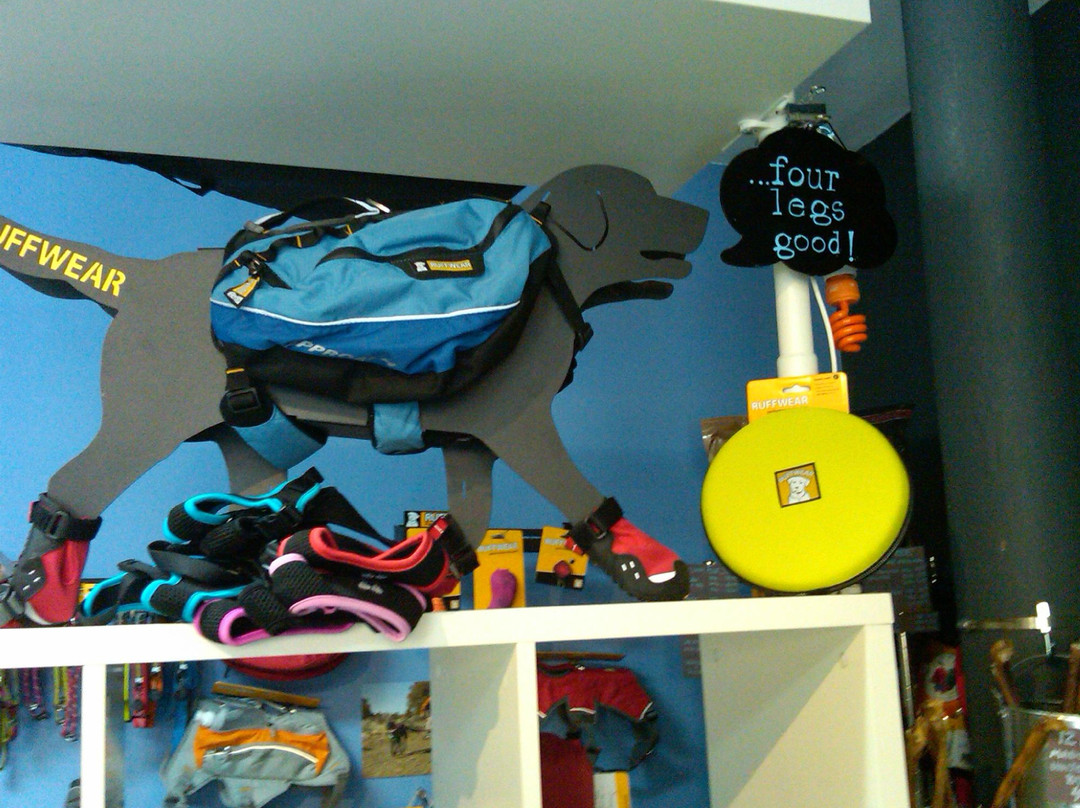 Blue Ridge Dog-哈里森堡必去景点