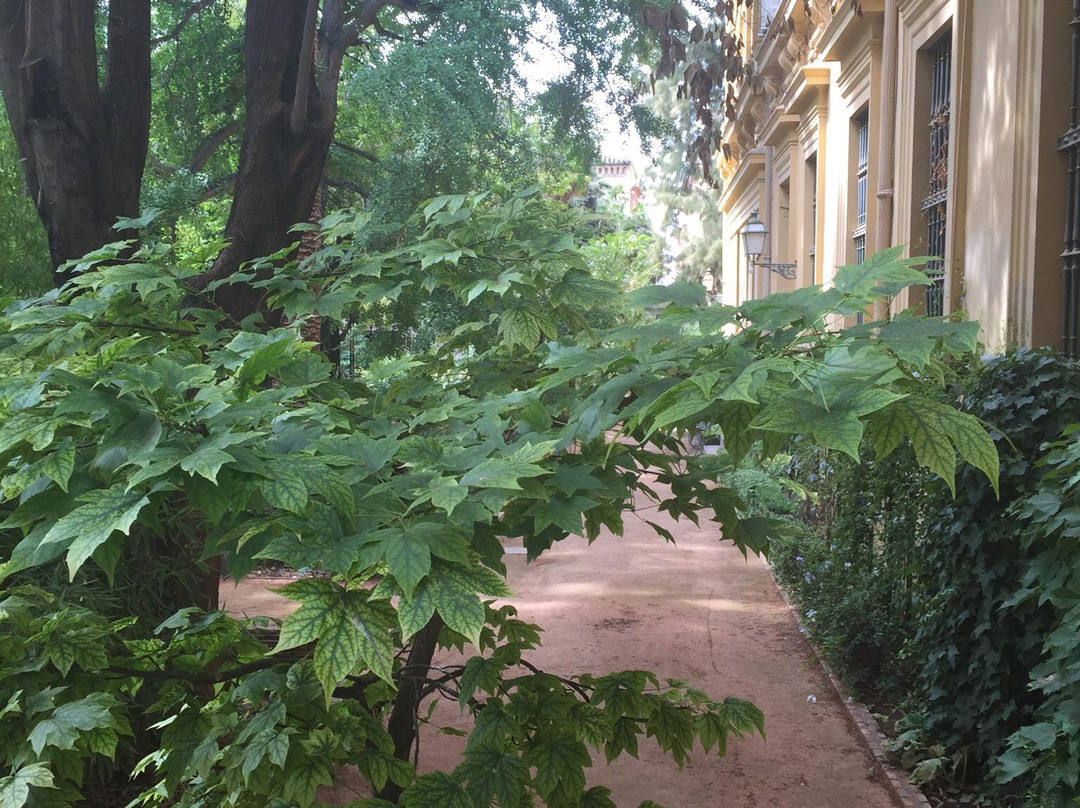 Jardin Botanico de la Universidad de Granada-格拉纳达必去景点