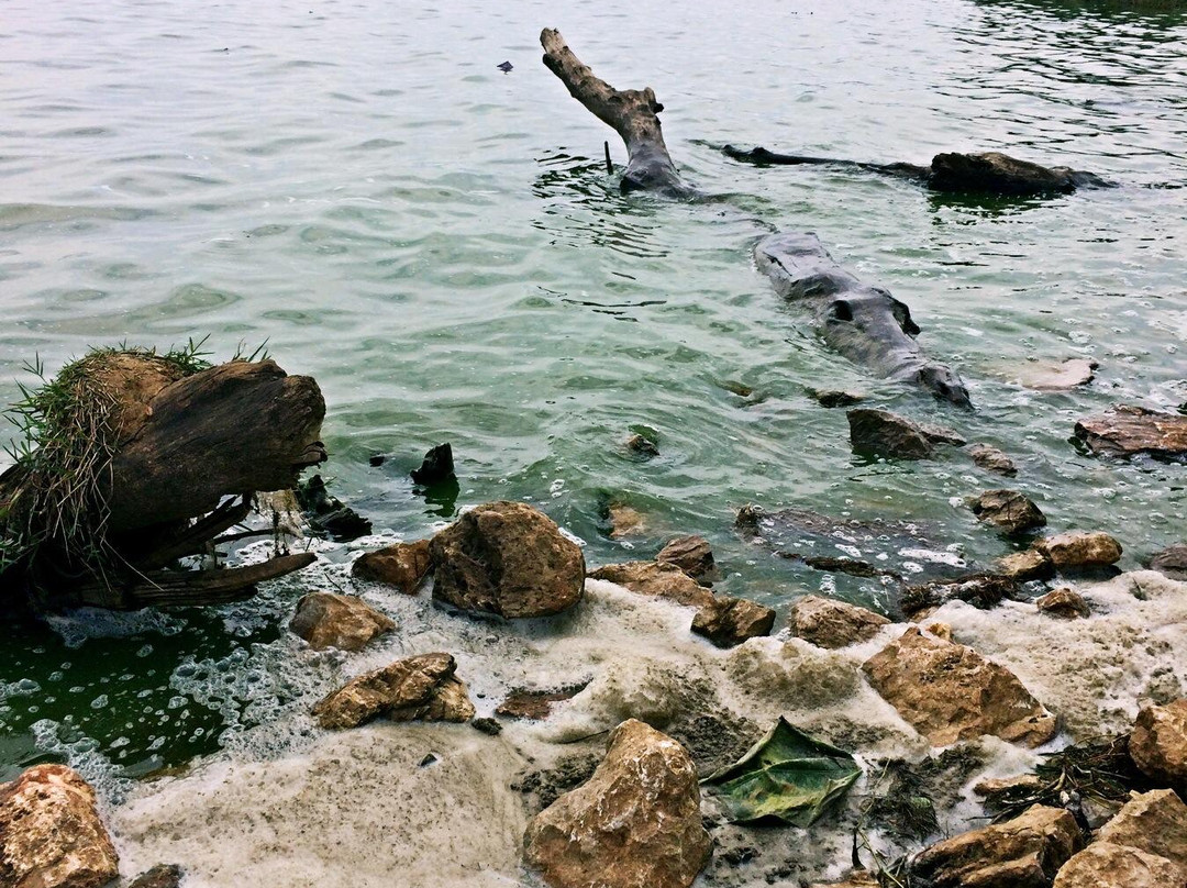 海东湿地公园-昆明市必去景点