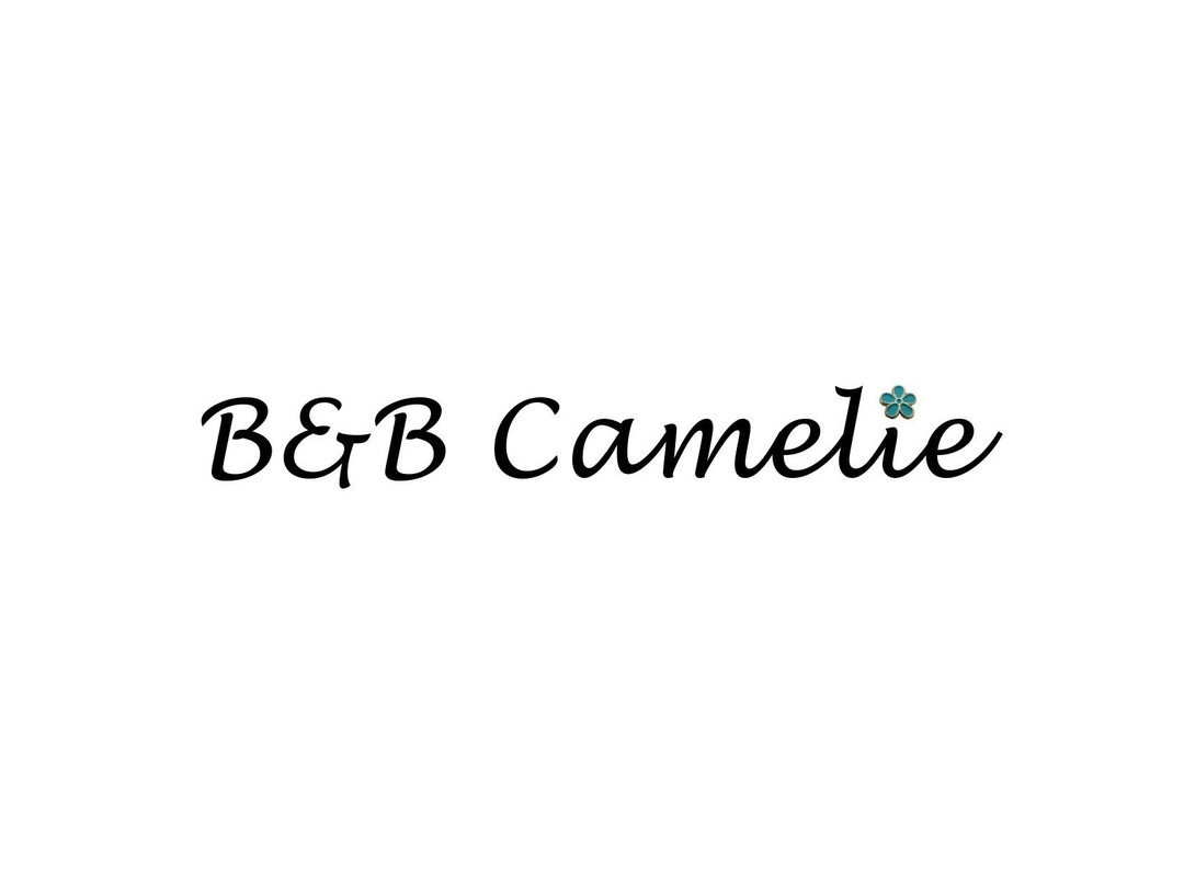 B&b Camelie主图
