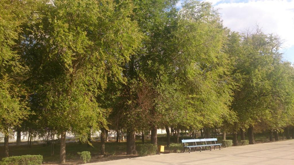 Krasnoarmeyskiy District Embankment景点图片