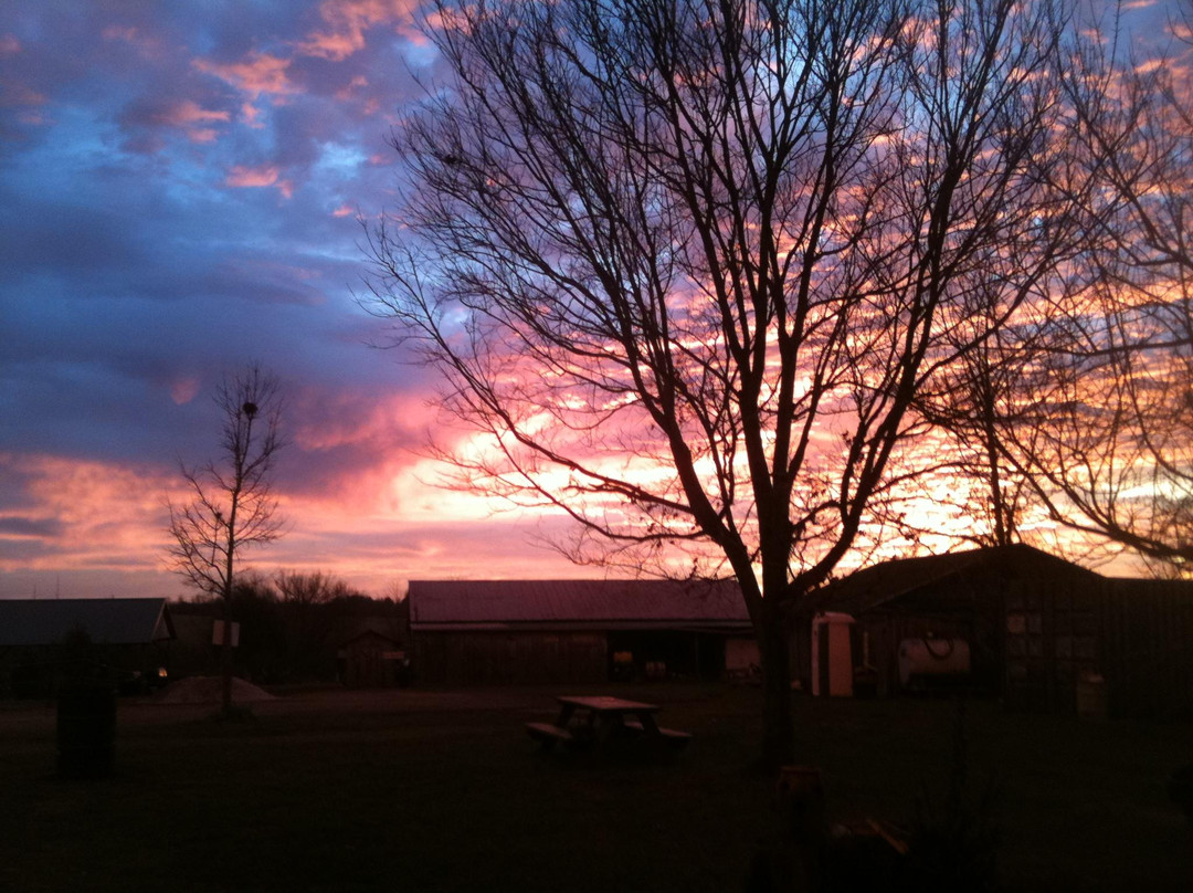 Baldwin Farms-里士满必去景点