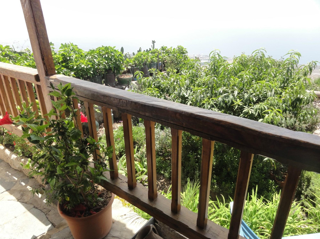 Casa Rural Tajona & Granero主图