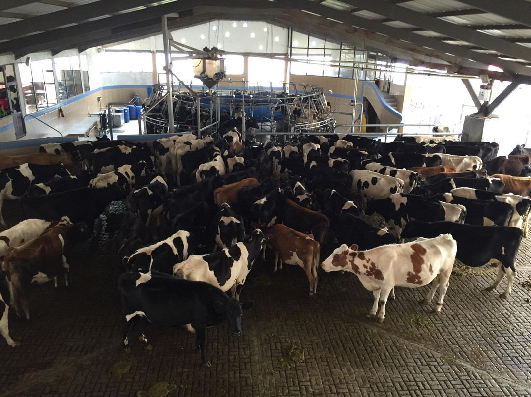 Parque Agro Turístico y de Aventura EcoWild-梅里达市必去景点