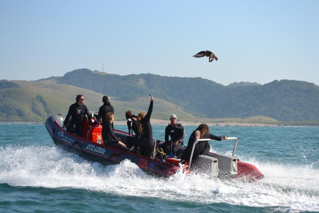 Offshore Africa-Port St Johns必去景点