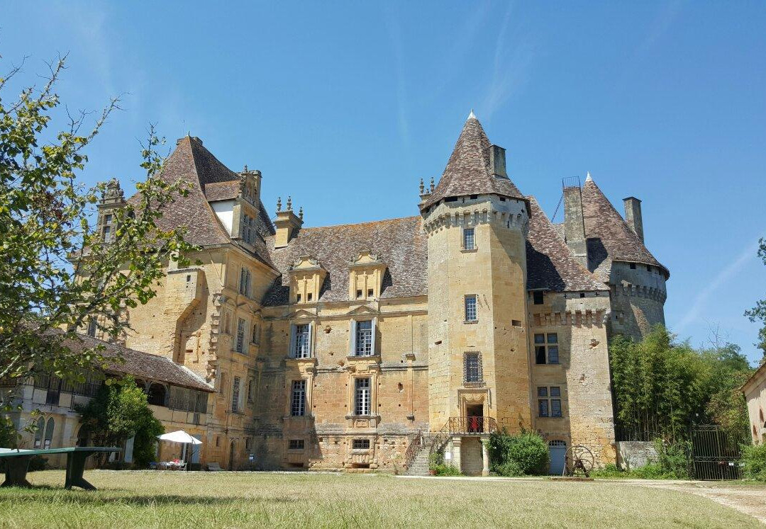 Chateau de Lanquais景点图片