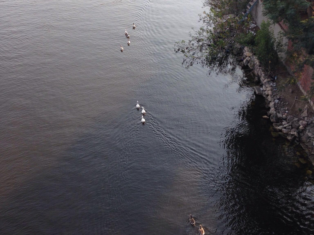 Zamalek-开罗必去景点