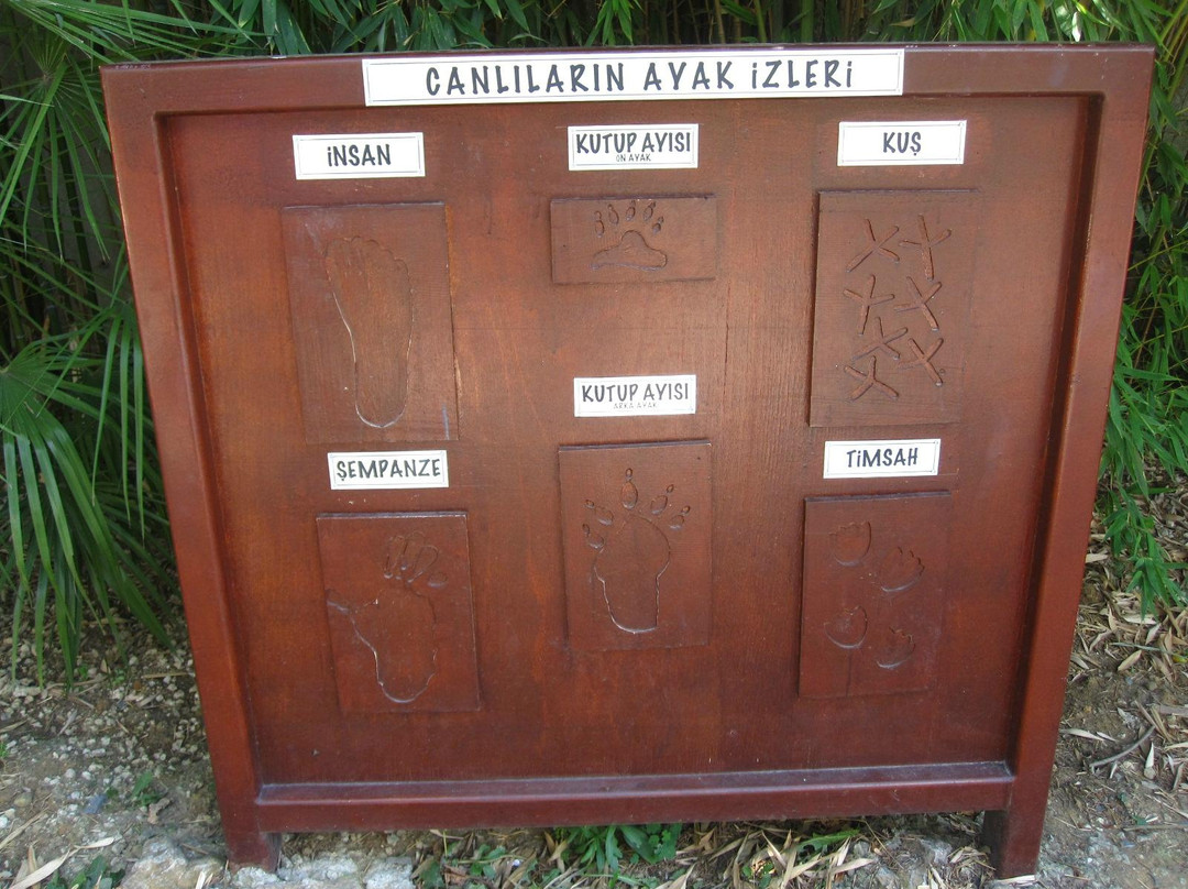 Bogazici Hayvanat Bahcesi景点图片