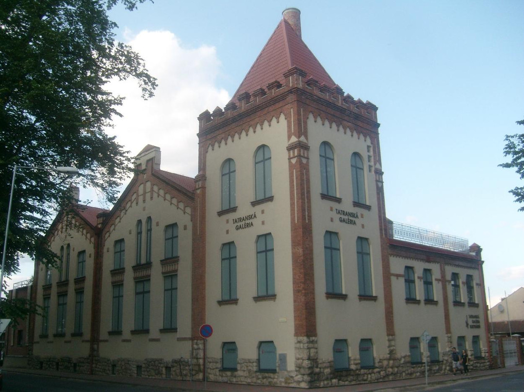 Tatra Gallery景点图片