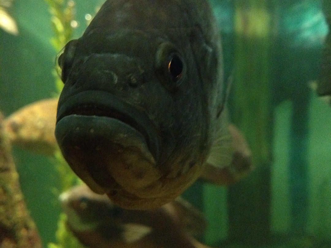 Schramm Education Center-Gretna必去景点