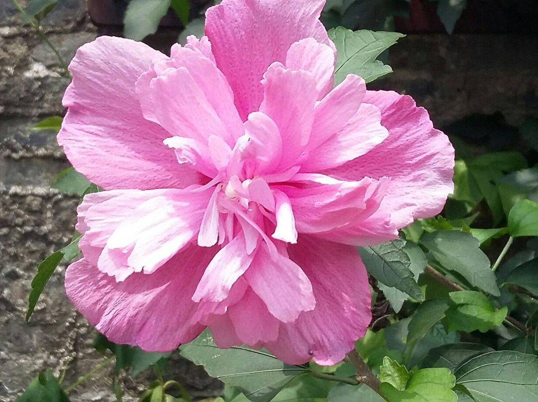 洪江古建筑群-洪江市必去景点