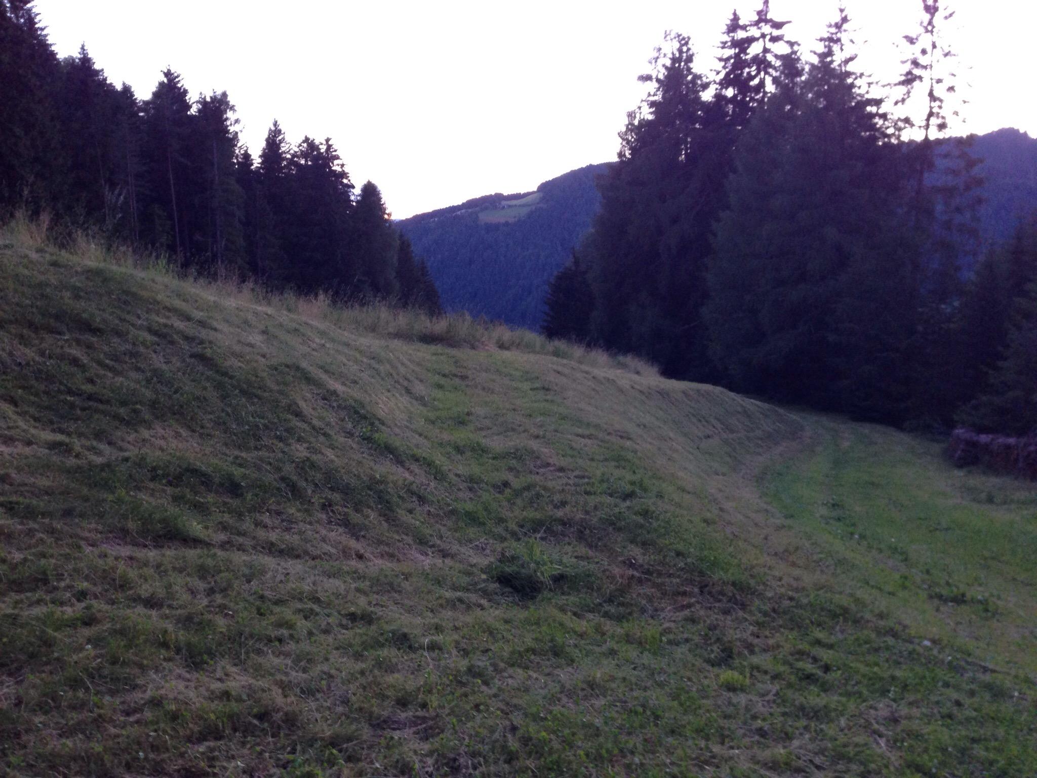 Pension Oberoberstallerhof-客卧