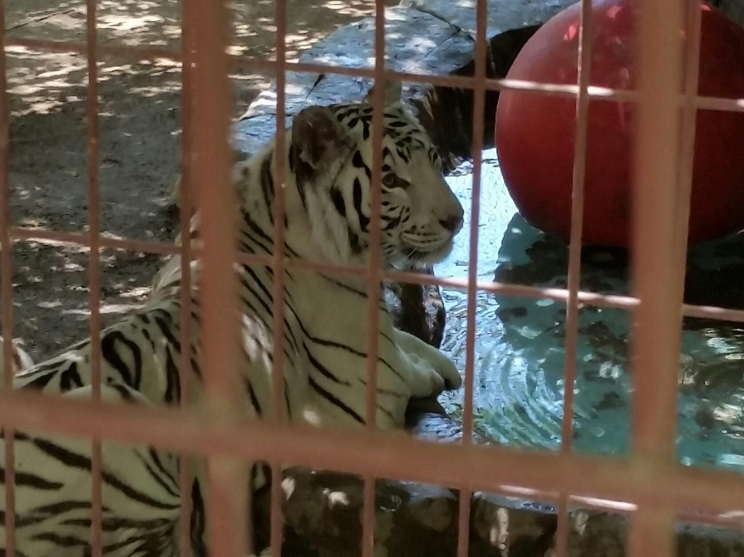 Rancho Las Lomas Wildlife Foundation-Silverado必去景点