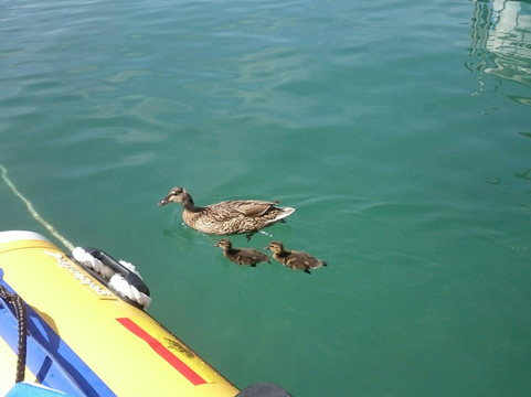Goldenfin-索列尔港必去景点