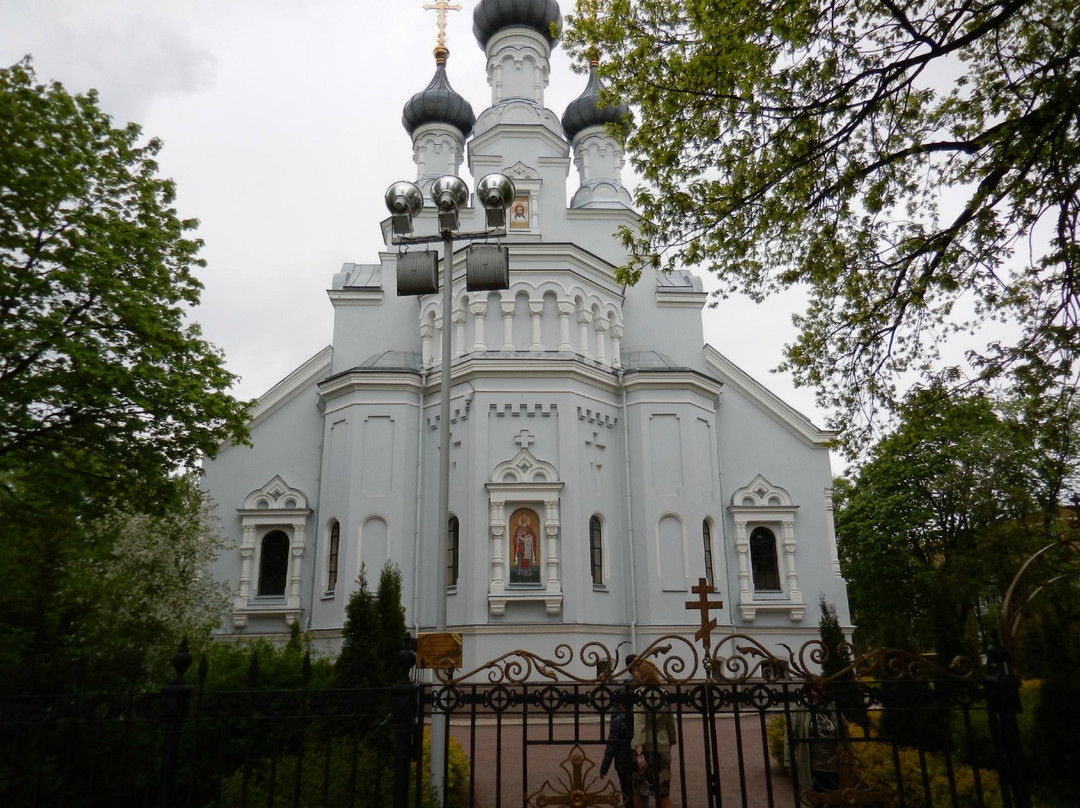 Cathedral of Vladimir Icon of Our Lady景点图片