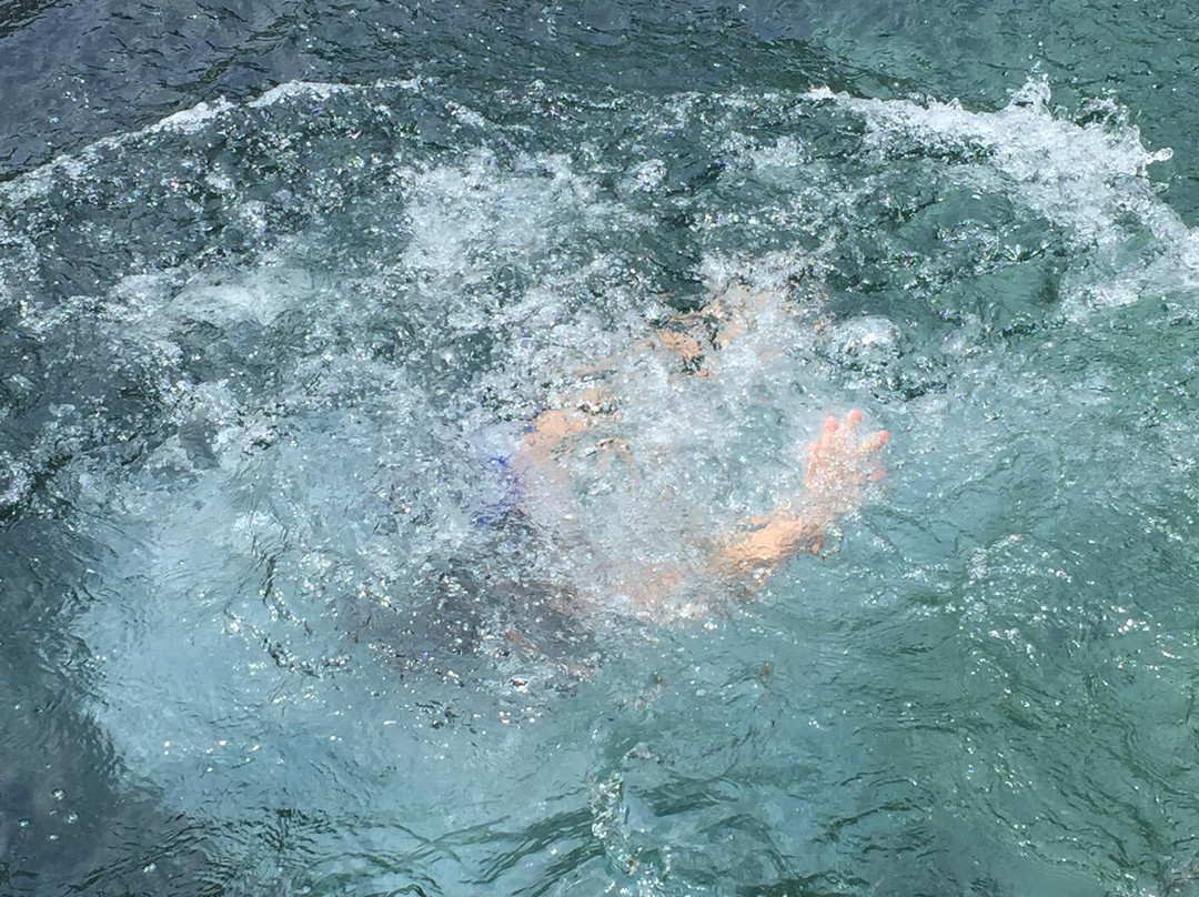 Juniper Springs Recreation Area-Silver Springs必去景点