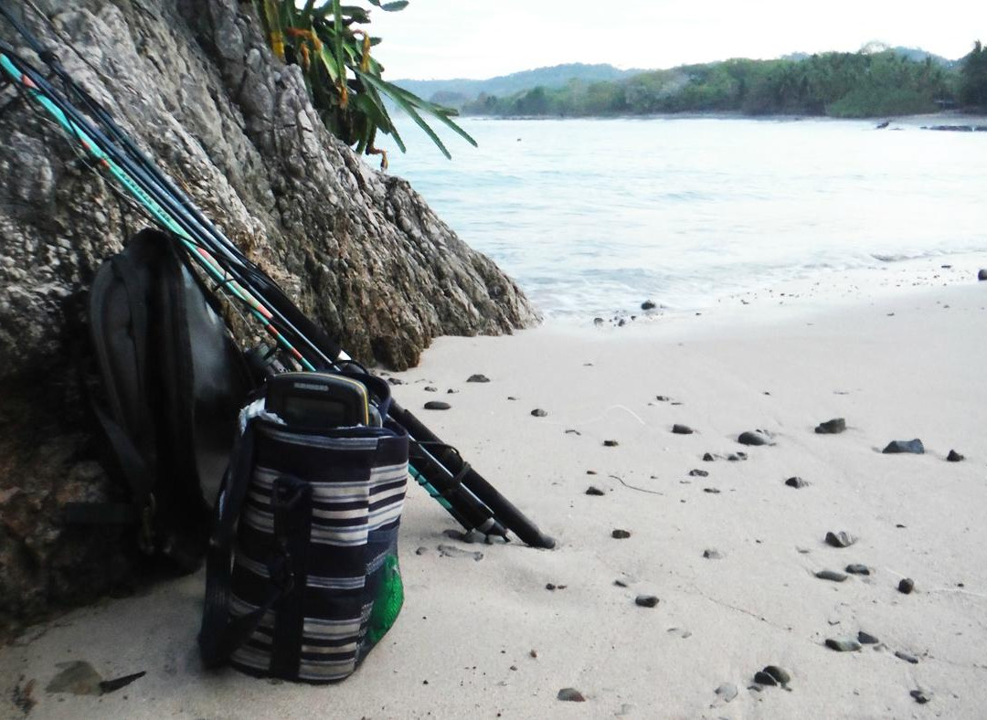 Sea Kayak Adventures景点图片