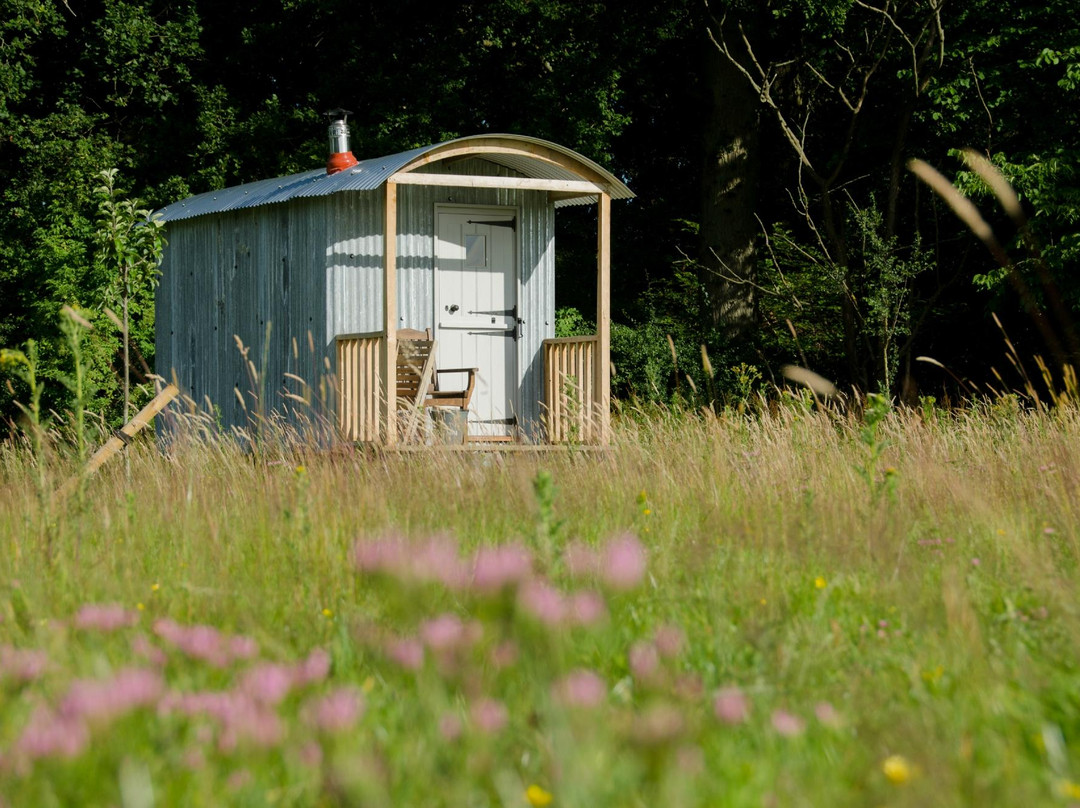 Knepp Wildland Campsite