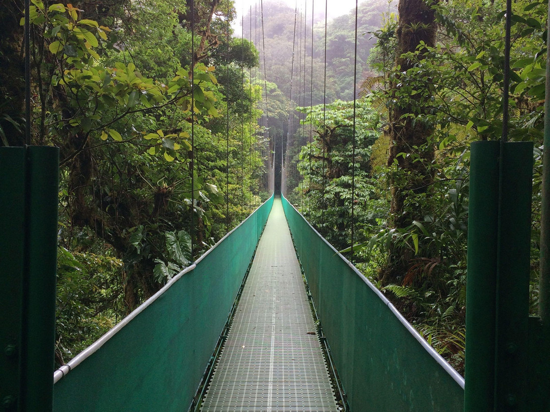 Santa Elena Skywalk景点图片