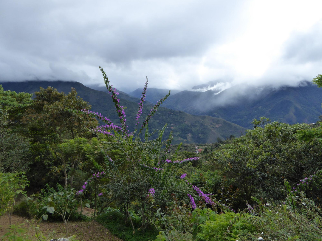 Café Munaipata-Coroico必去景点
