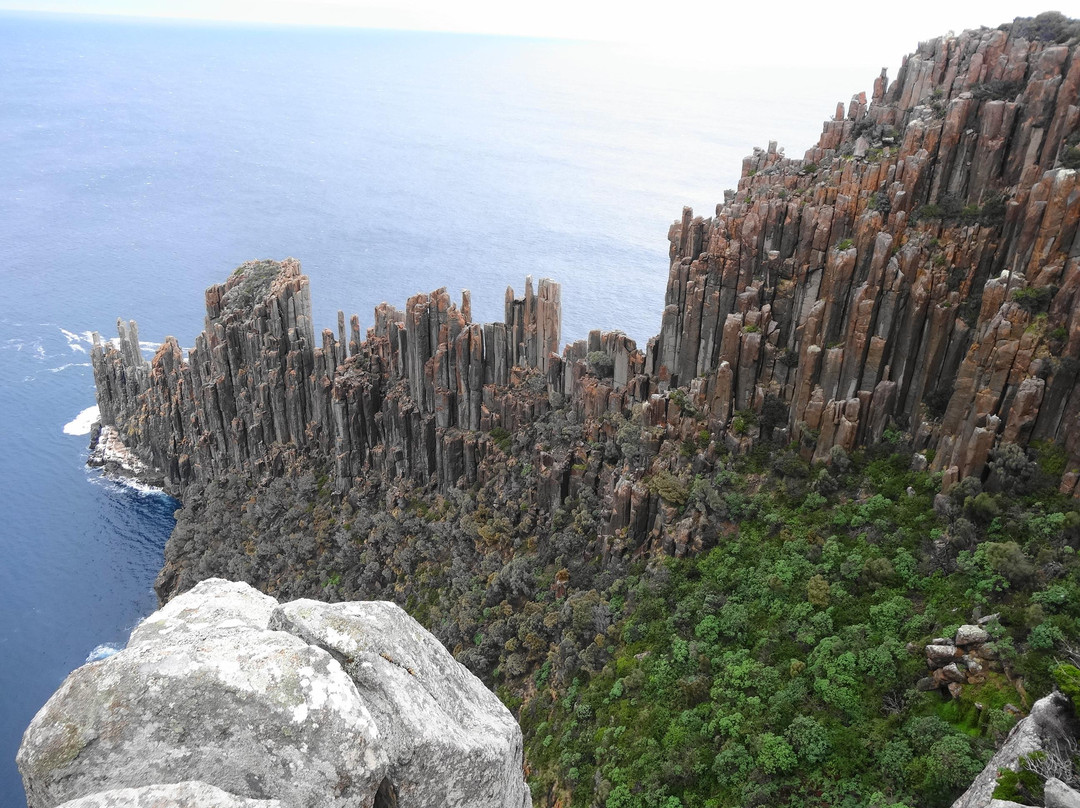 Tasmanian Wilderness Experiences景点图片