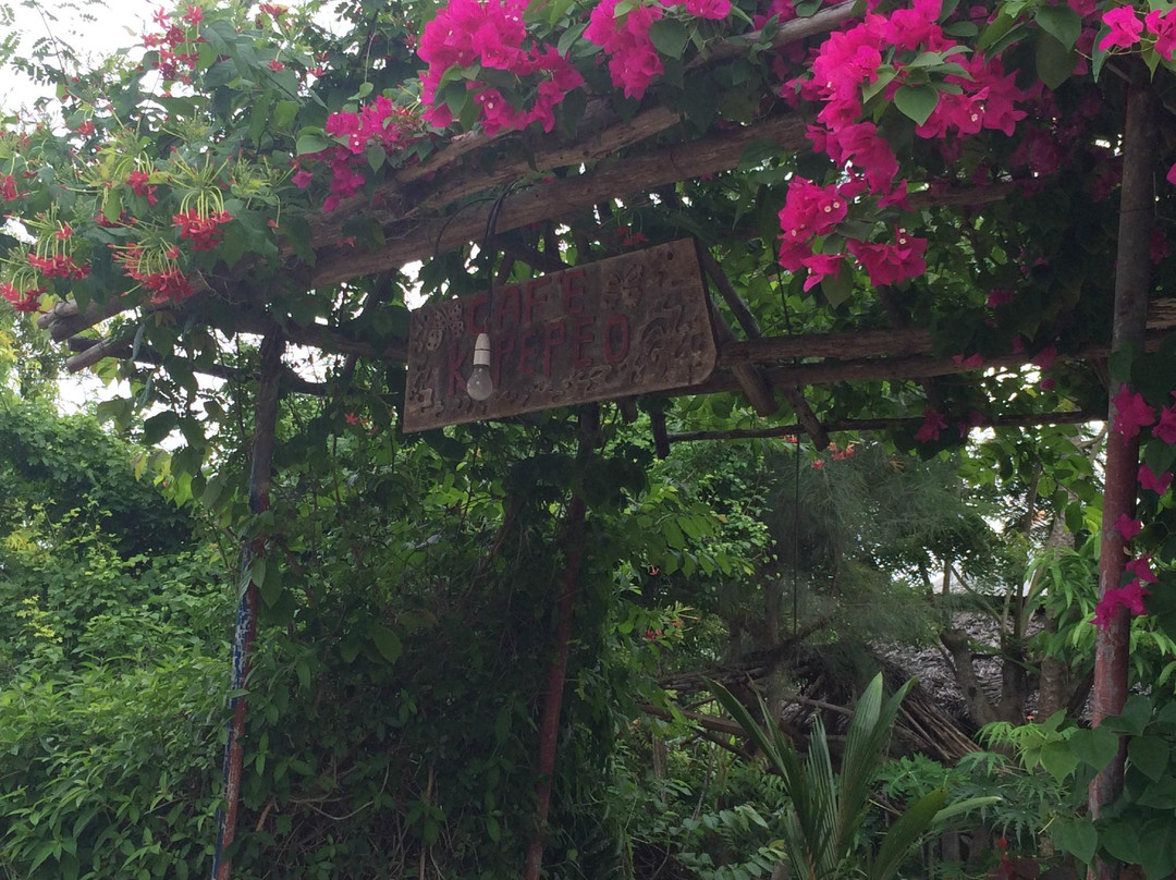 奔巴岛餐馆和美食-Cafe Kipepeo